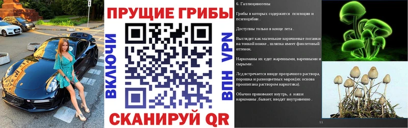 Галлюциногенные грибы Cubensis  Купить где  Тайшет 